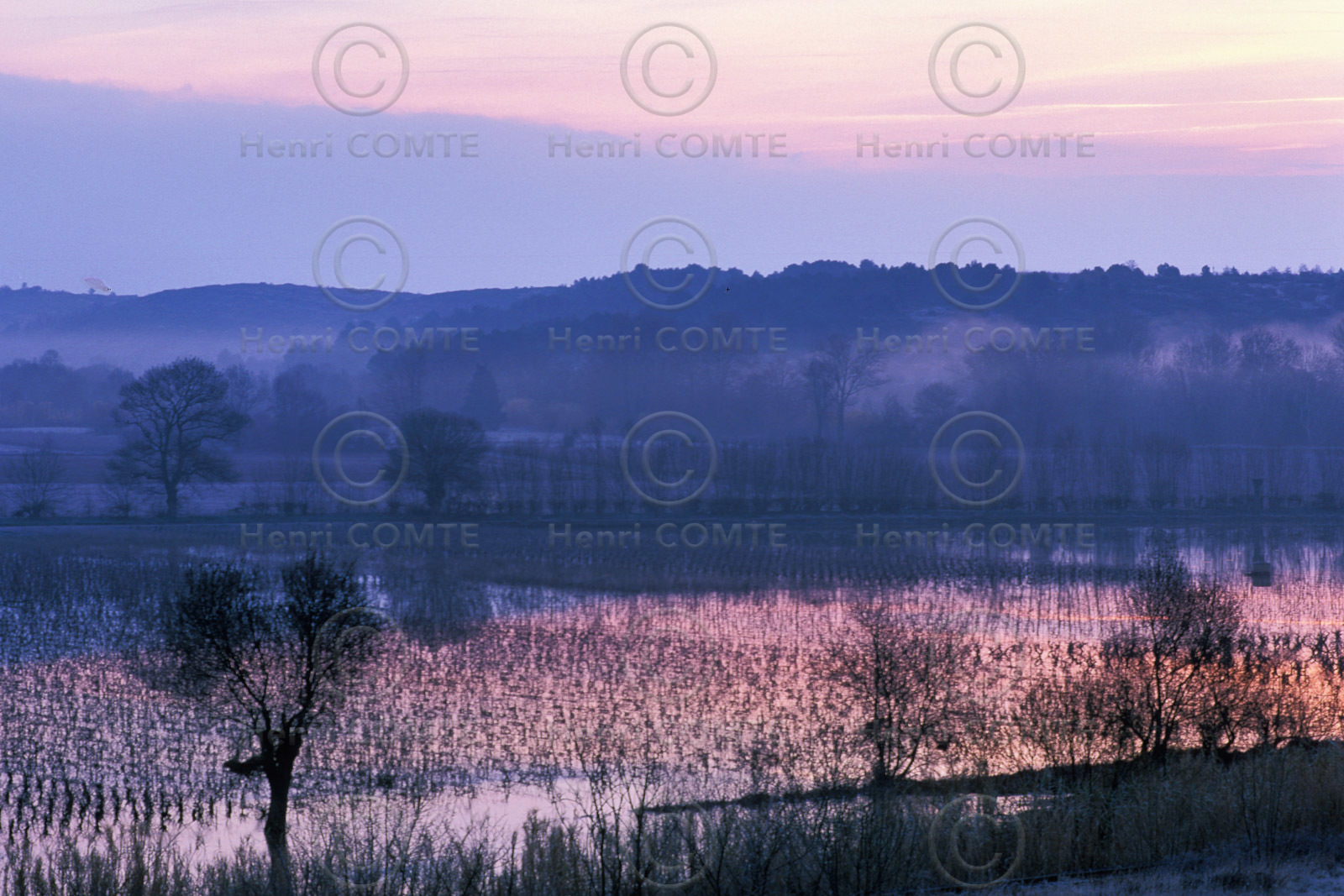 Plaine de l'Hérault
