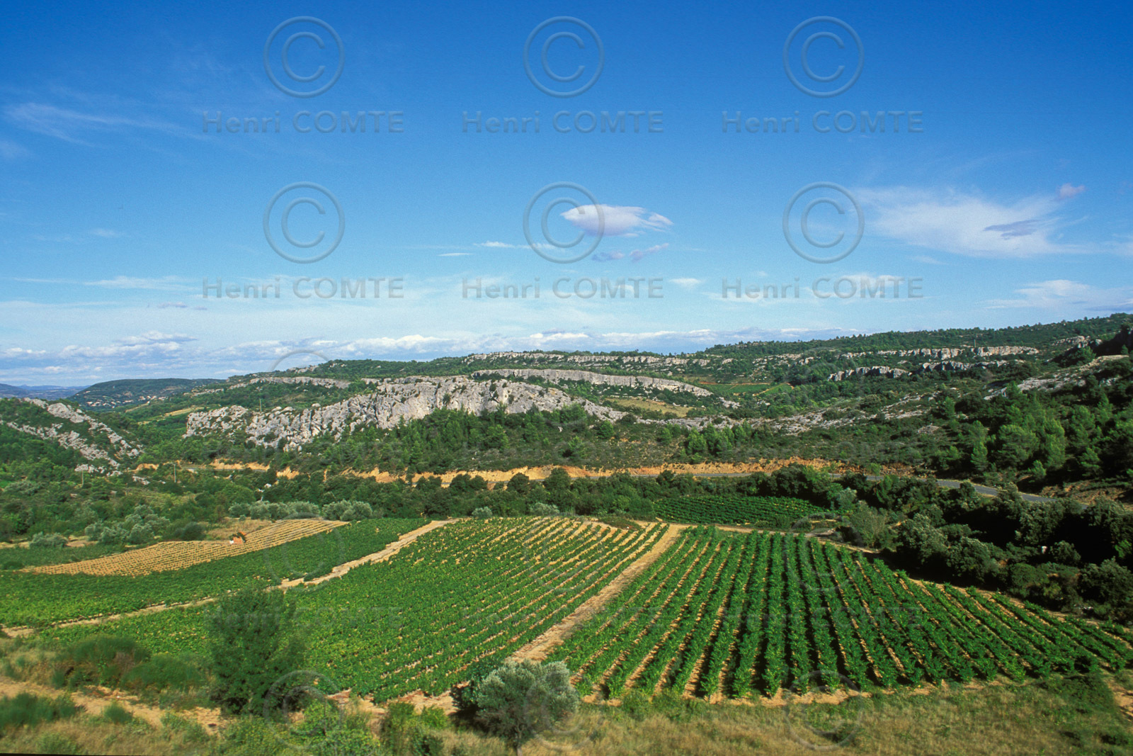 Vignoble Saint Chinian