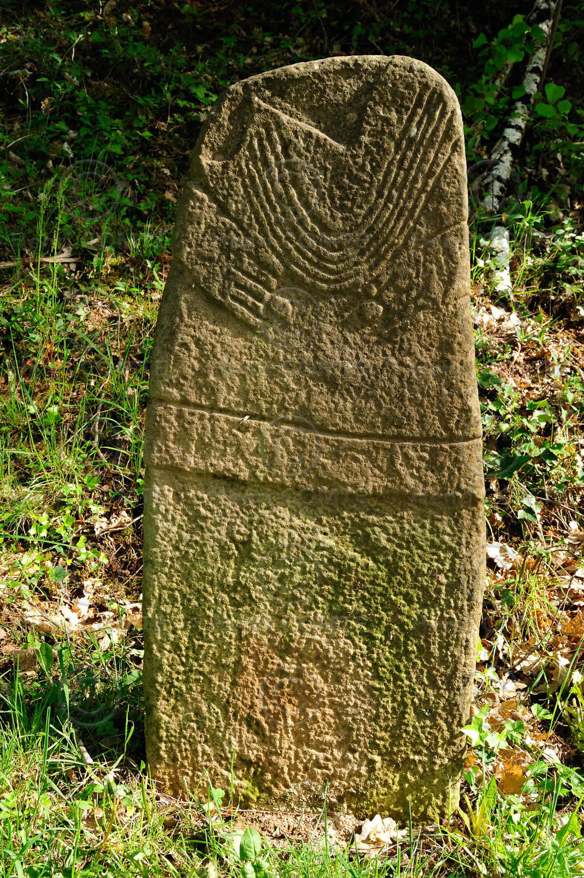 Statue Menhir