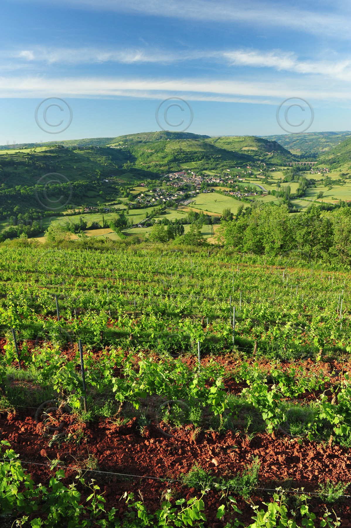 Vignoble de Marcillac