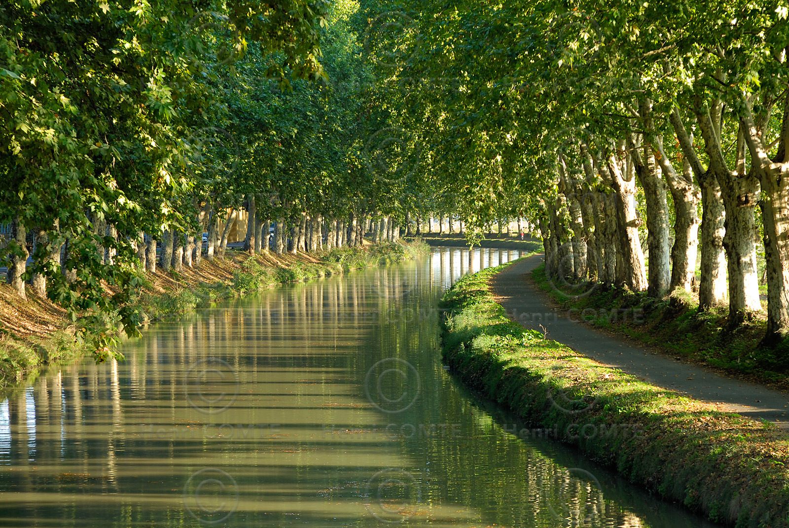 Le canal du Midi