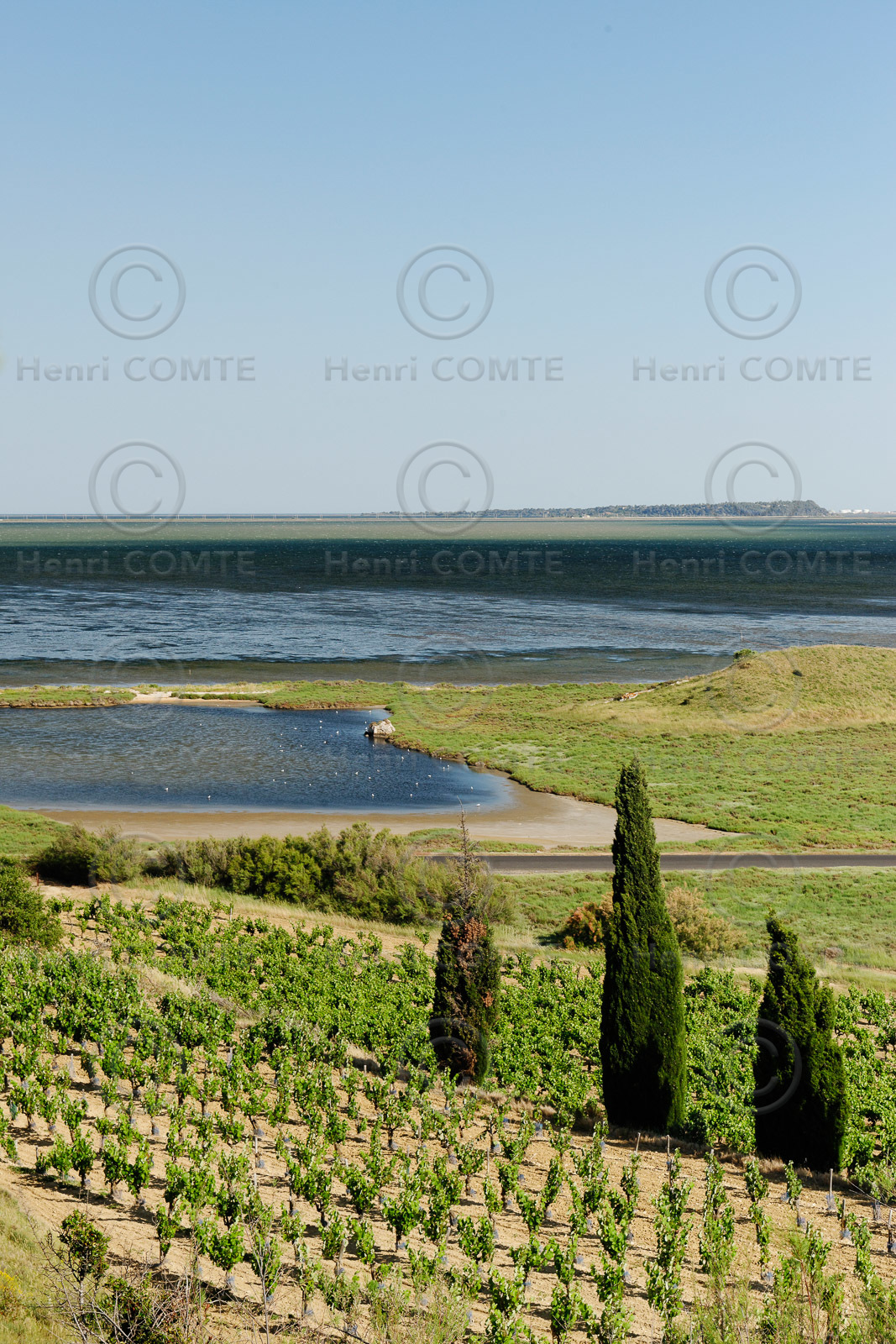 Vignoble des Corbieres