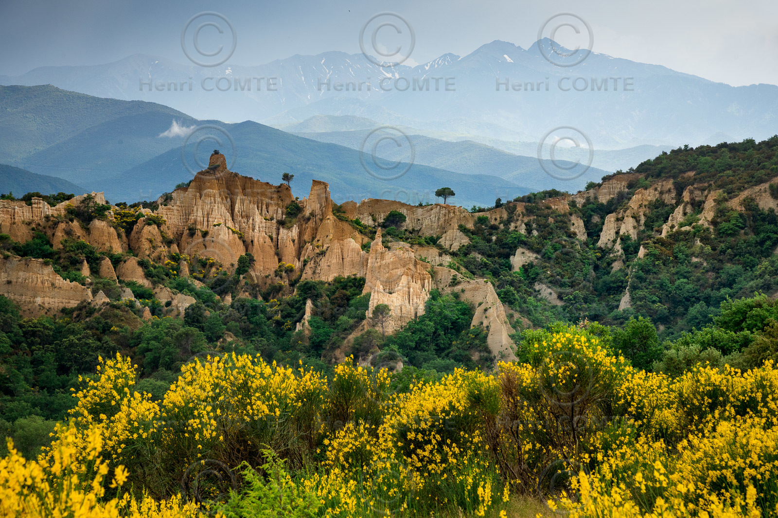 Orgues d'Ille sur Tet