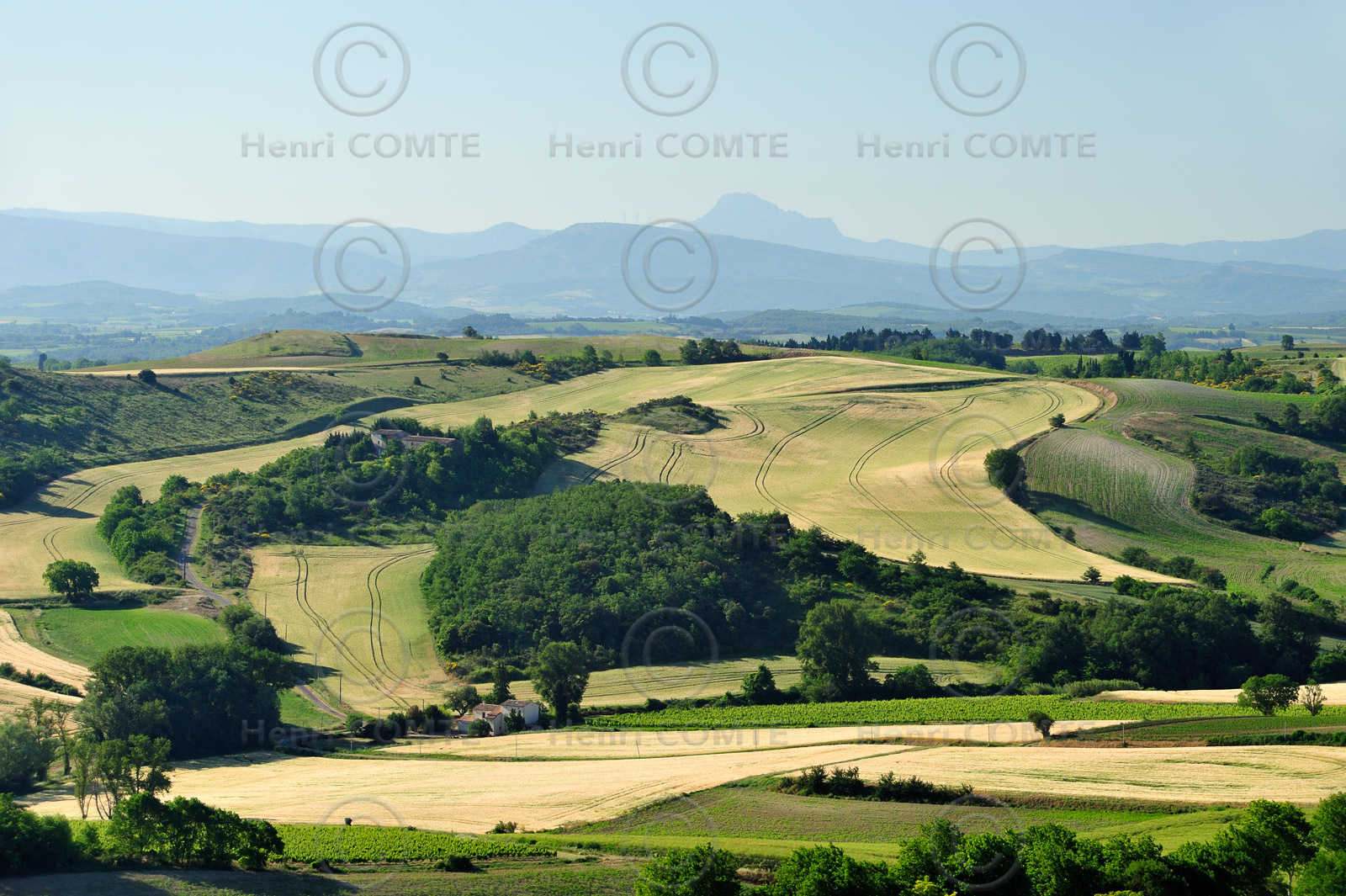 Paysage du Lauragais