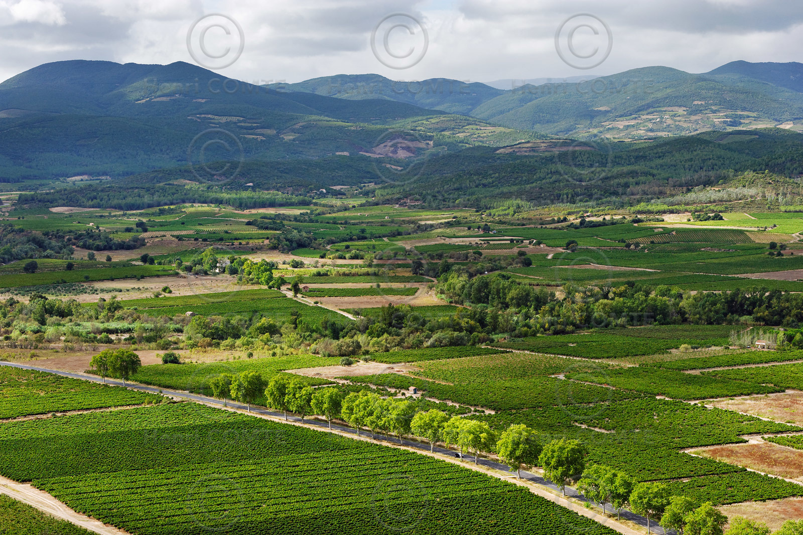 Vignoble Saint Chinian