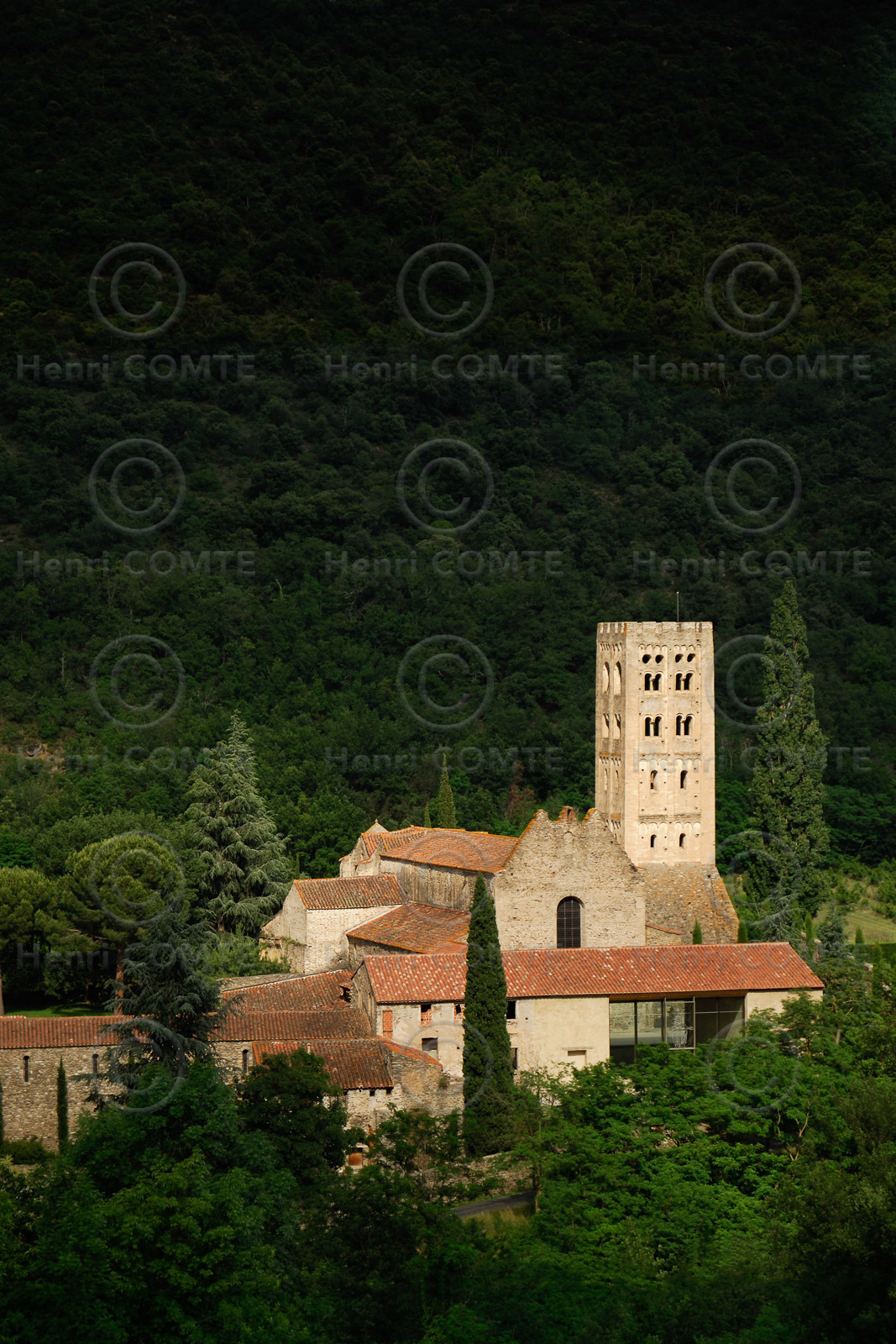 Saint Michel de Cuxa