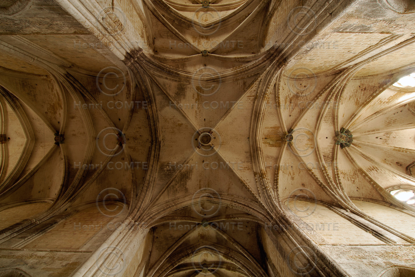 L'abbaye de Valmagne