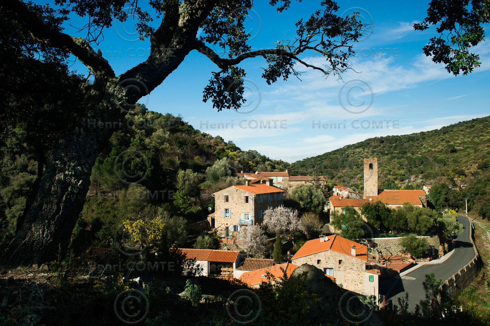 Saint Michel de Llotes