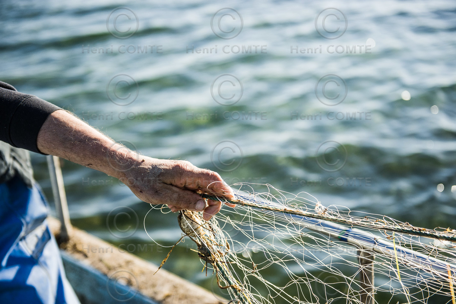 Pêche étang de thau