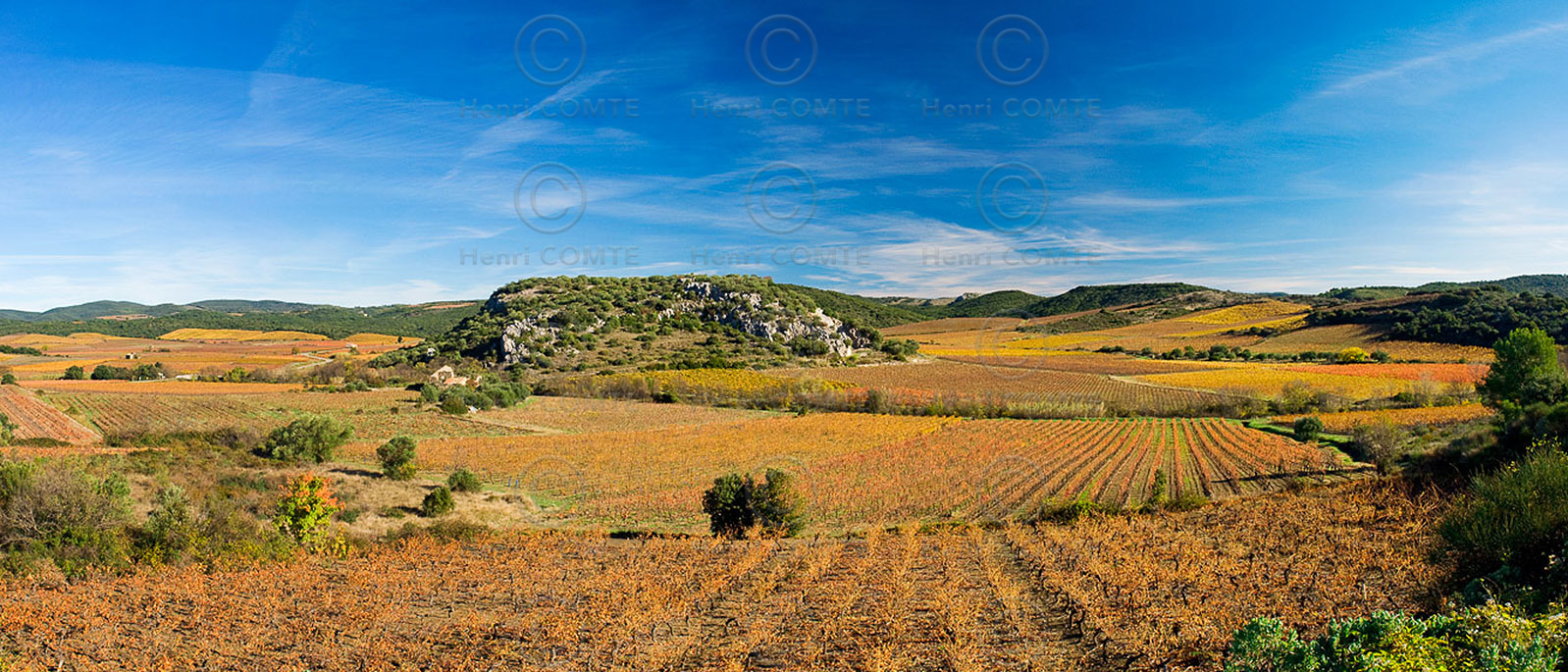 Vignoble de Faugeres