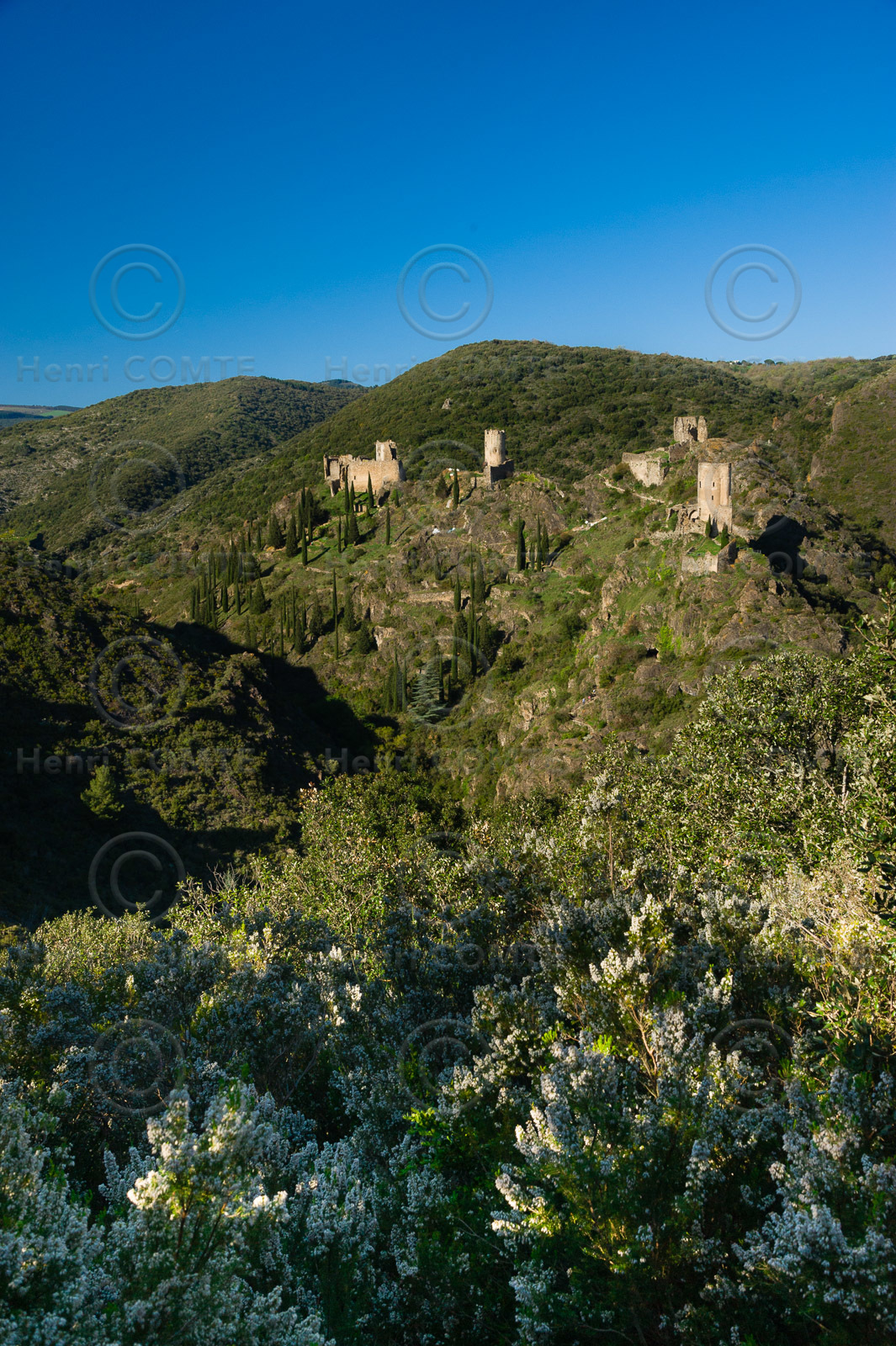 Chateaux de Lastours