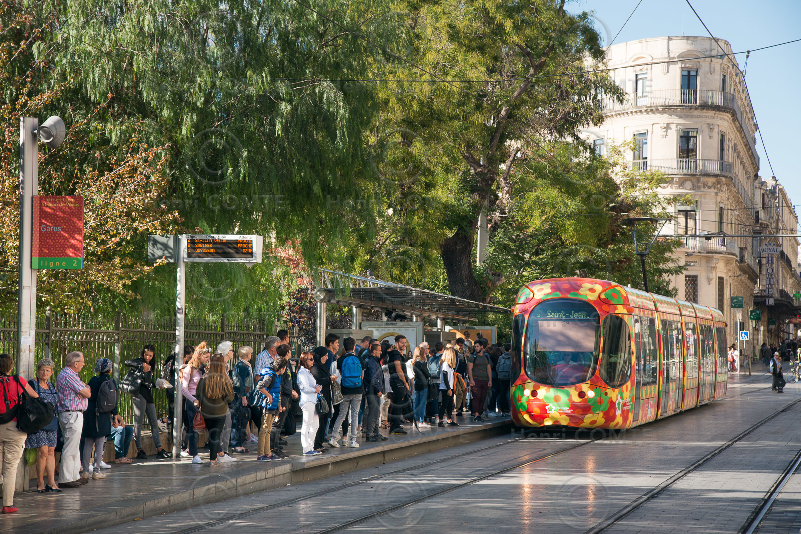 Tramway Montpellier