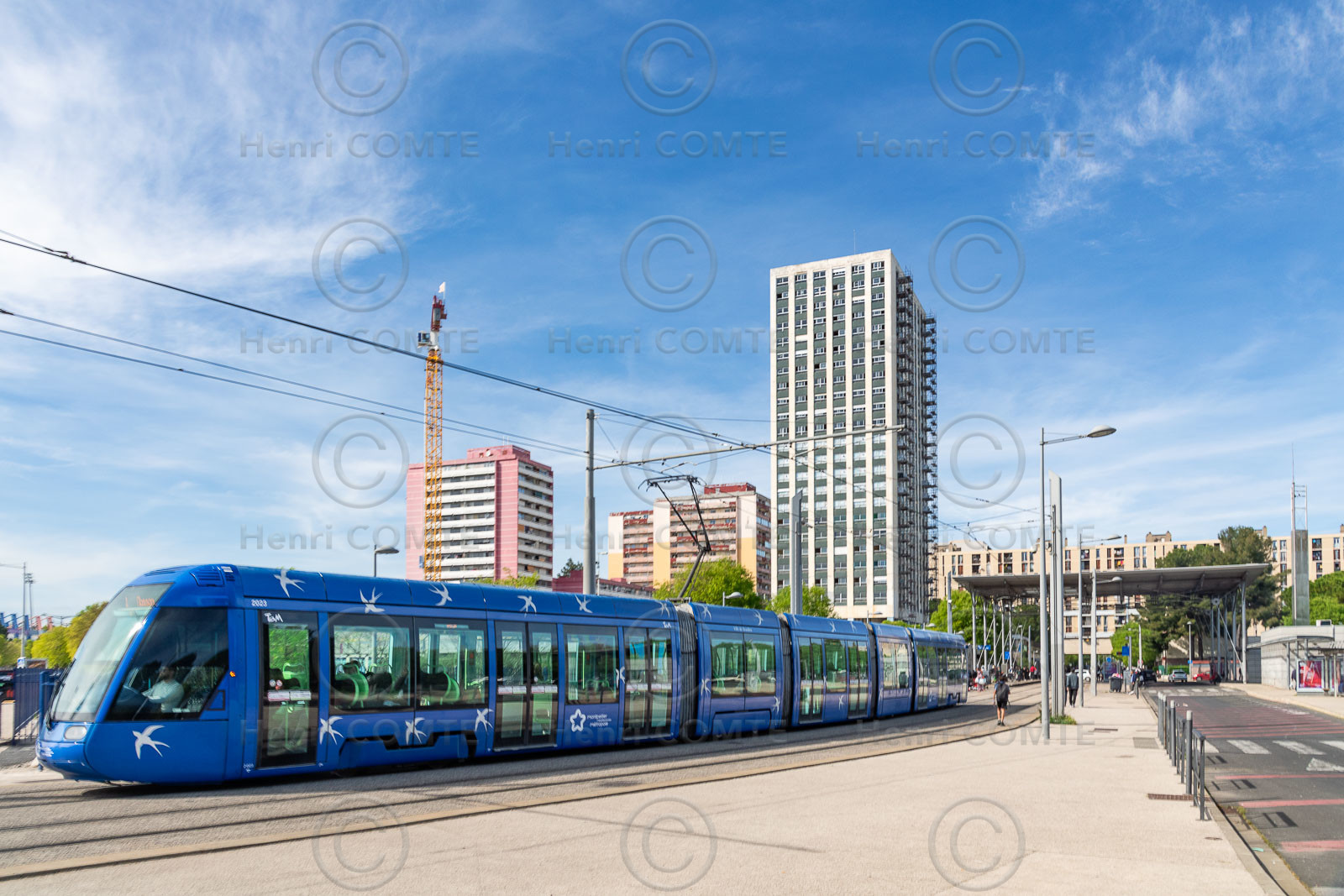 Tour d'Assas - Montpellier