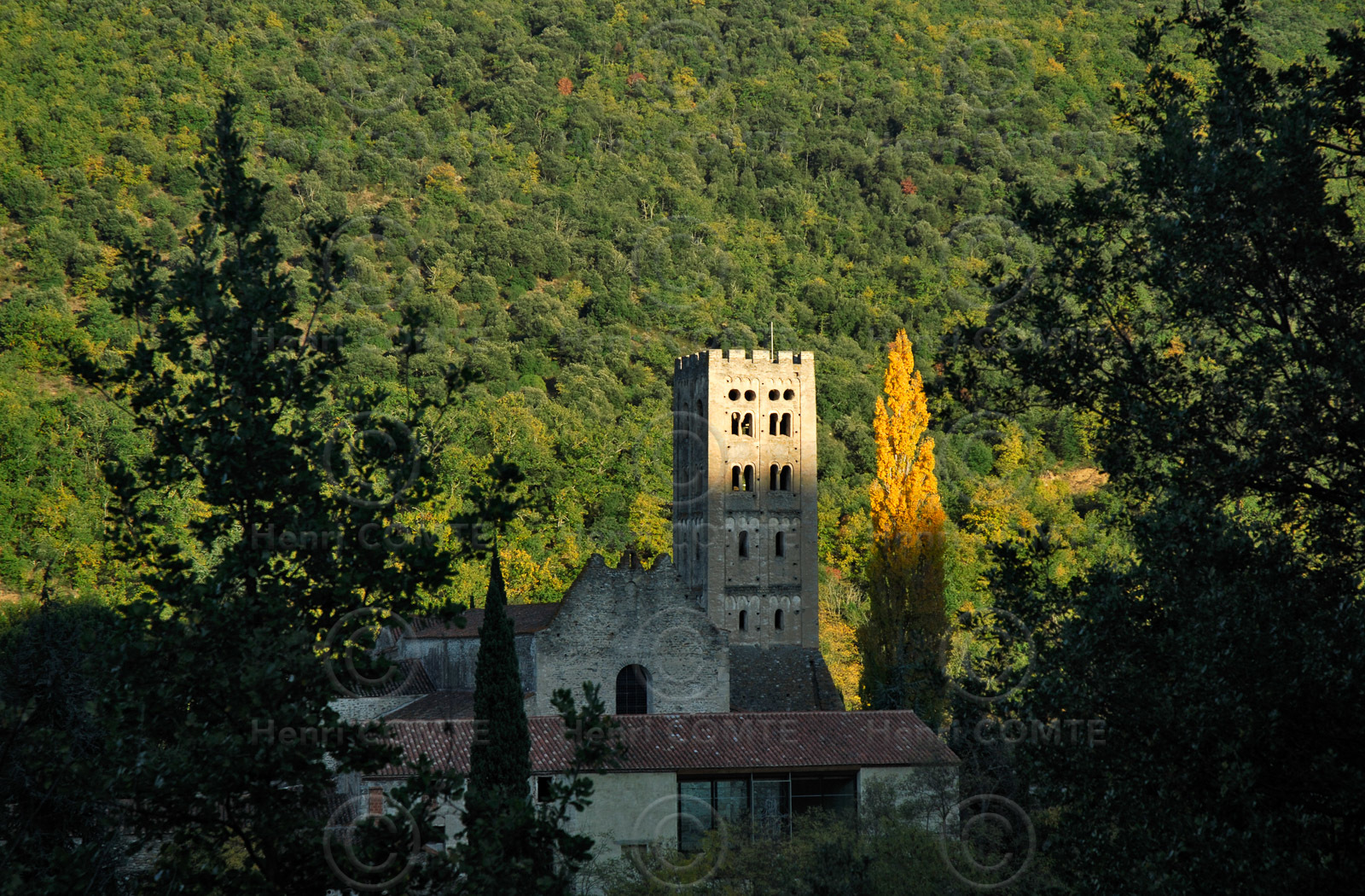 Saint Michel de Cuxa