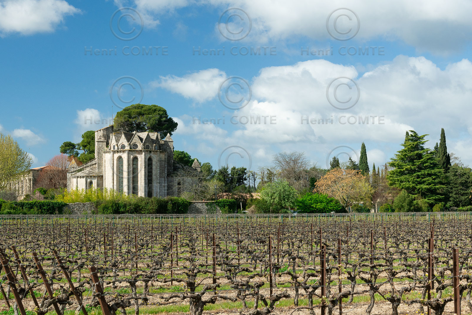 Abbaye de Vignogoul