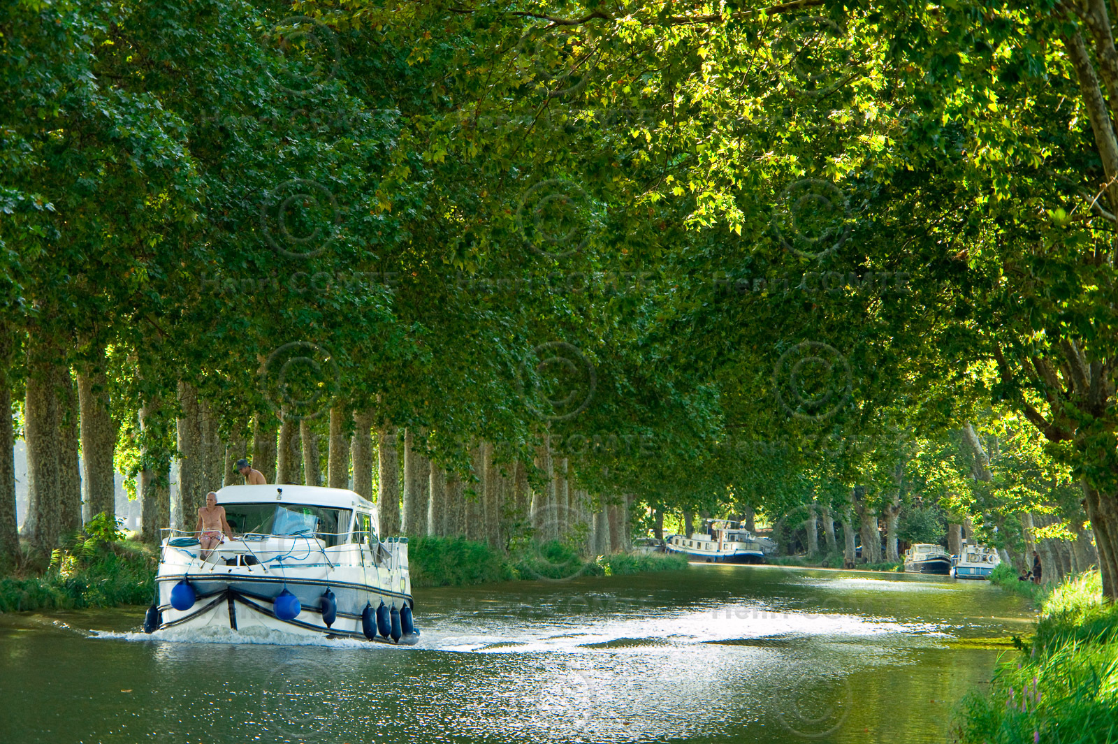Le canal du Midi