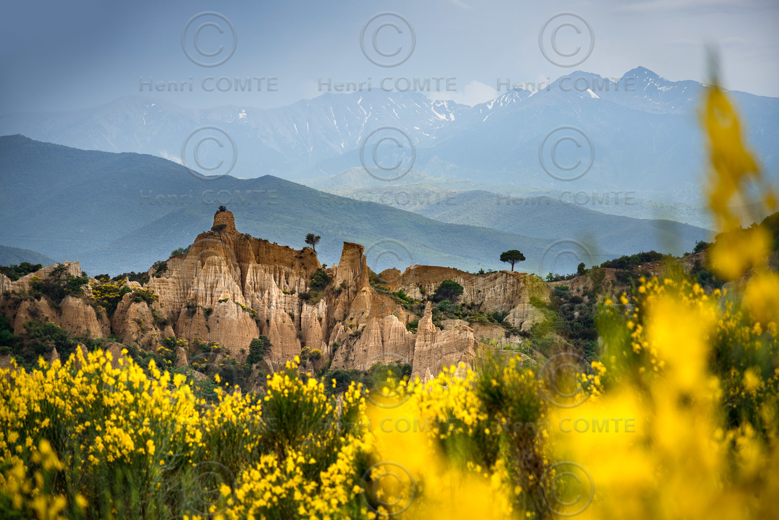 Orgues d'Ille sur Tet
