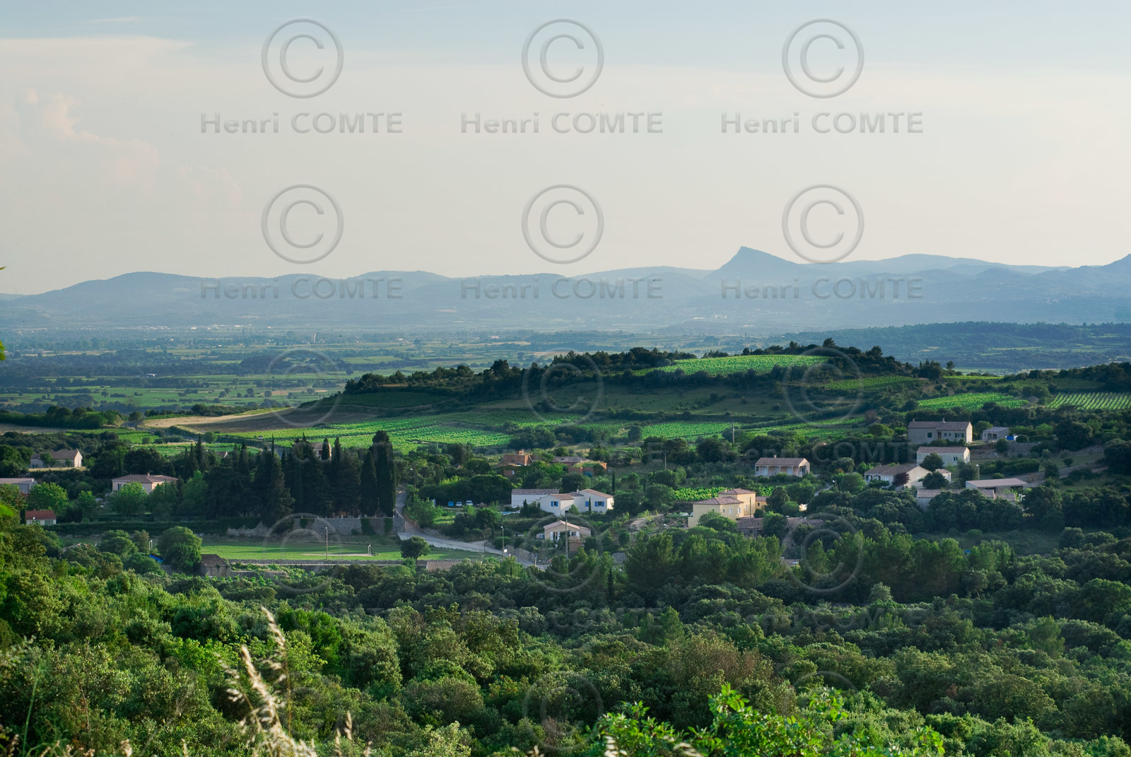 Plaine de l'Hérault