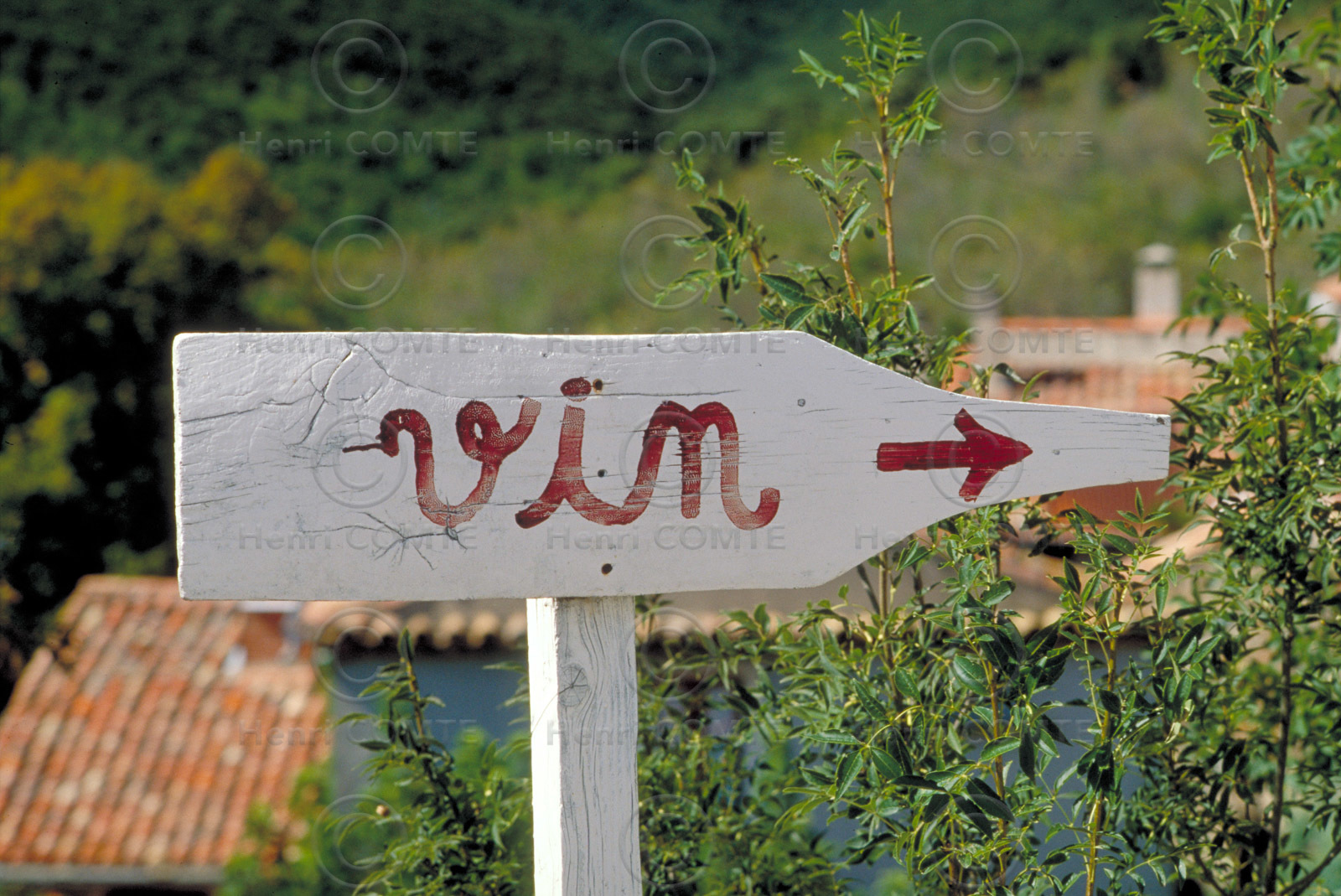 Vignoble Saint Chinian