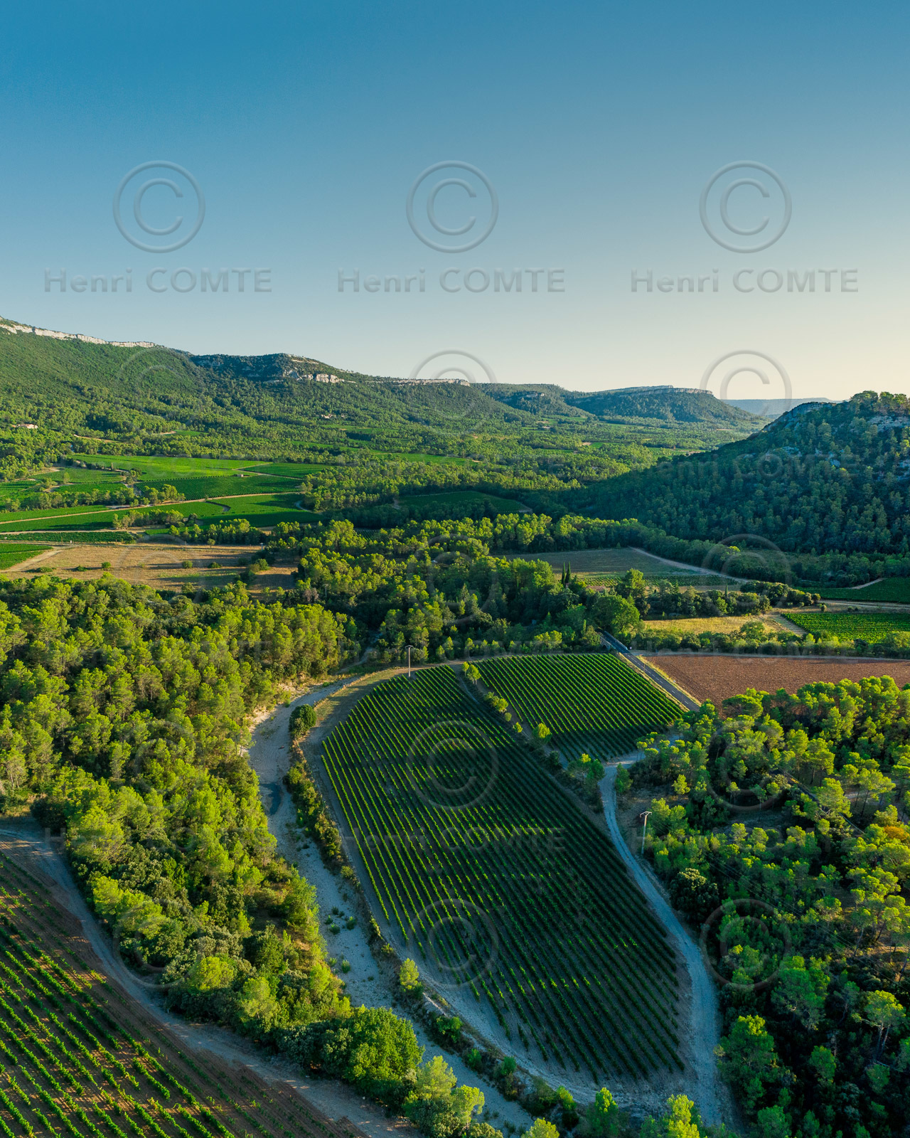 Vignoble Pic Saint Loup