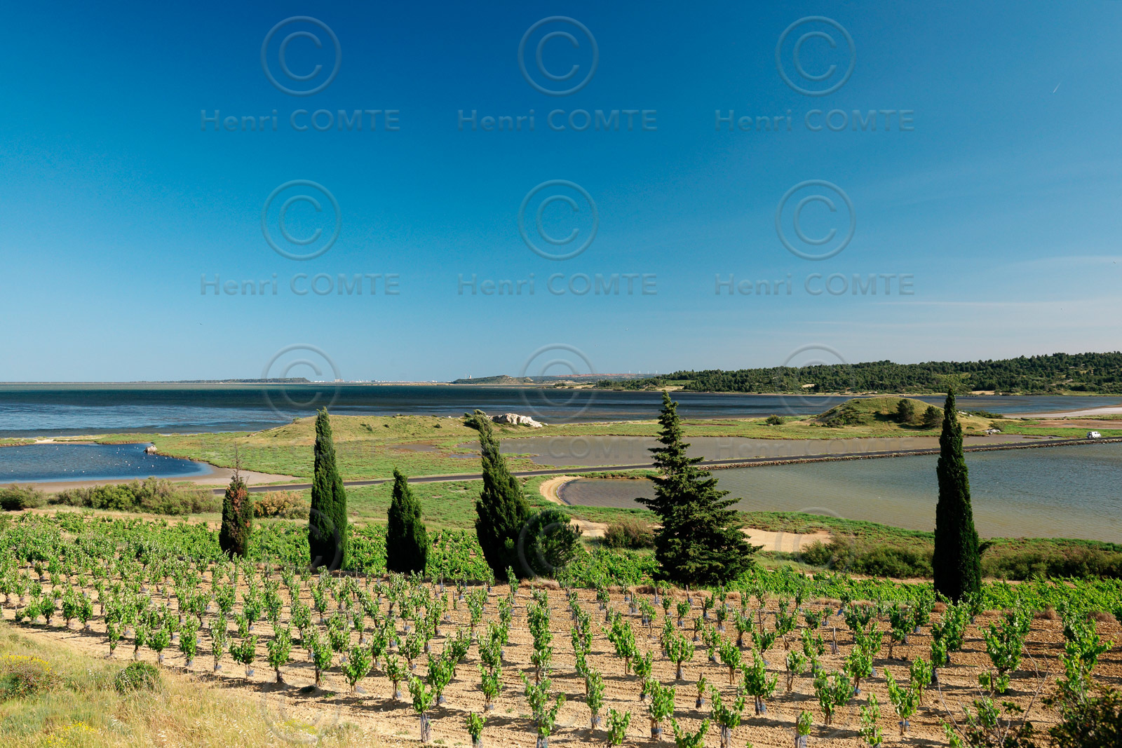 Vignoble des Corbieres