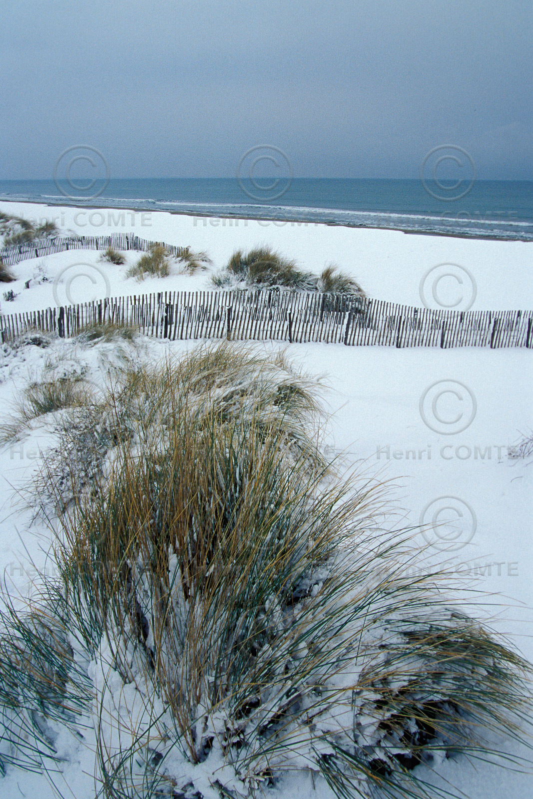 Dunes et neige