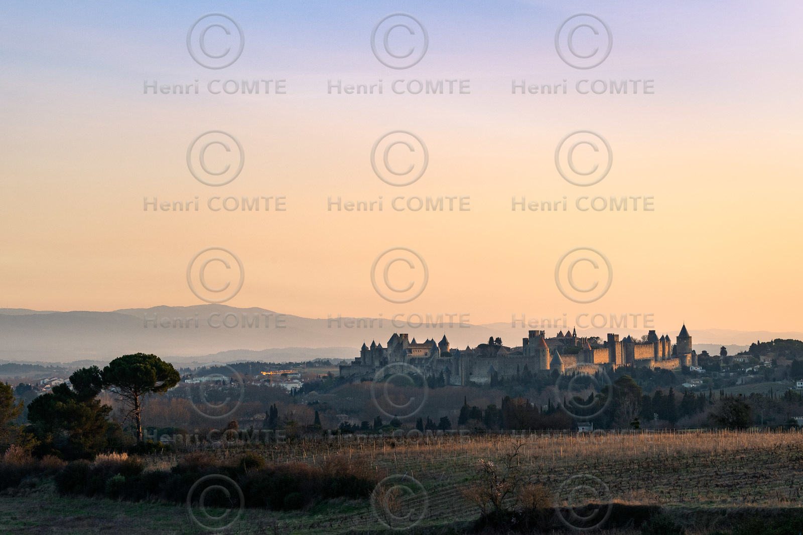 Cité de Carcassonne