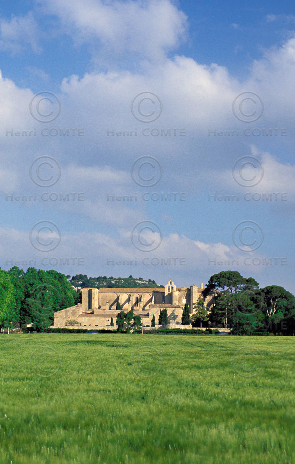 L'abbaye de Valmagne