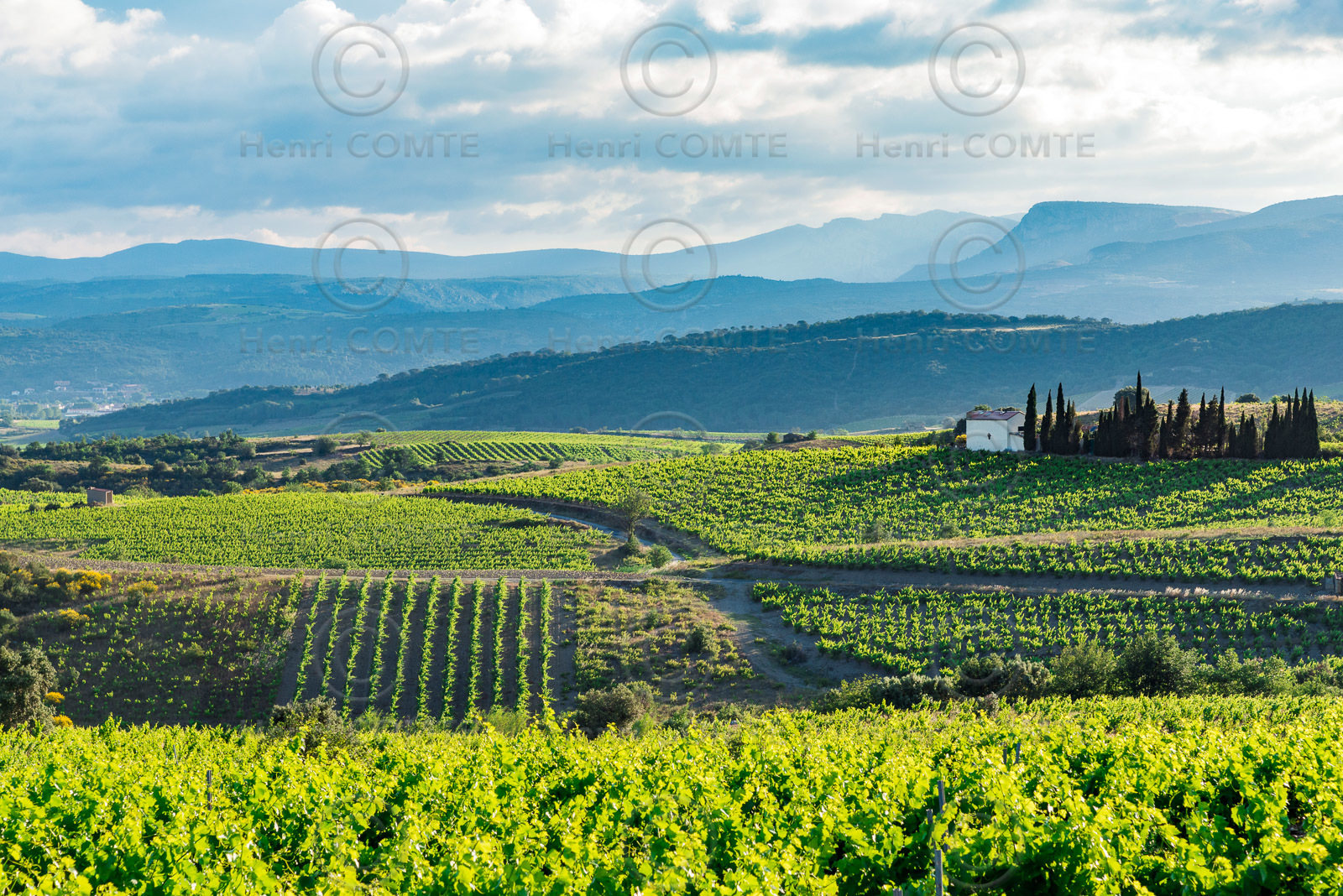 Côtes du Roussillon