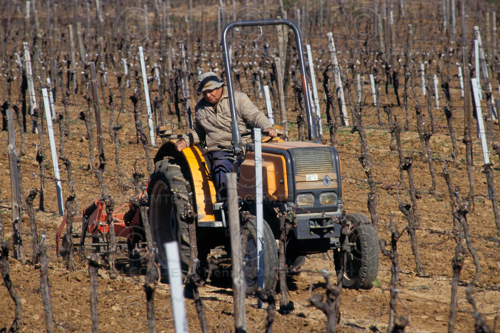 Tracteur et vignes