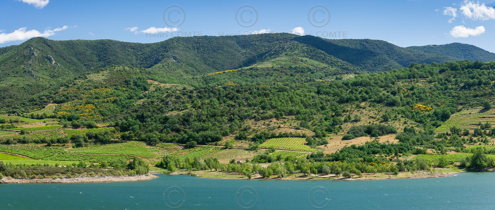 Vignoble de Caramany