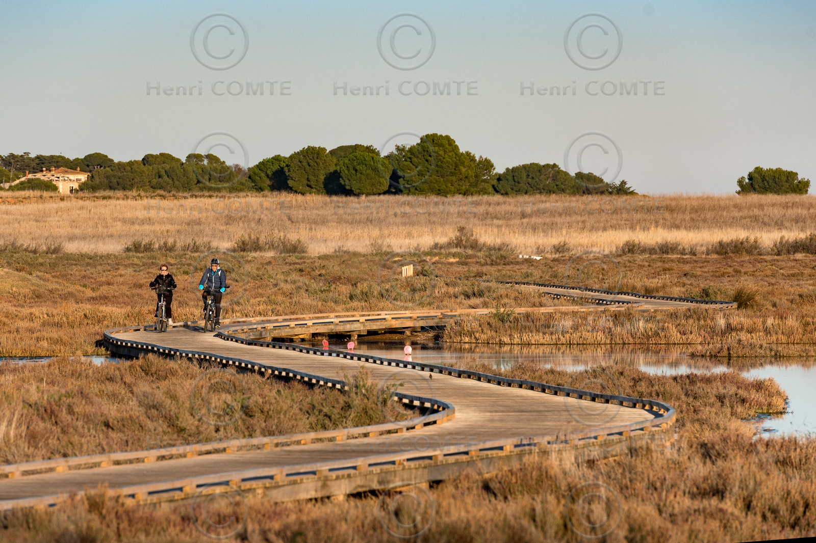 Couple à vélo