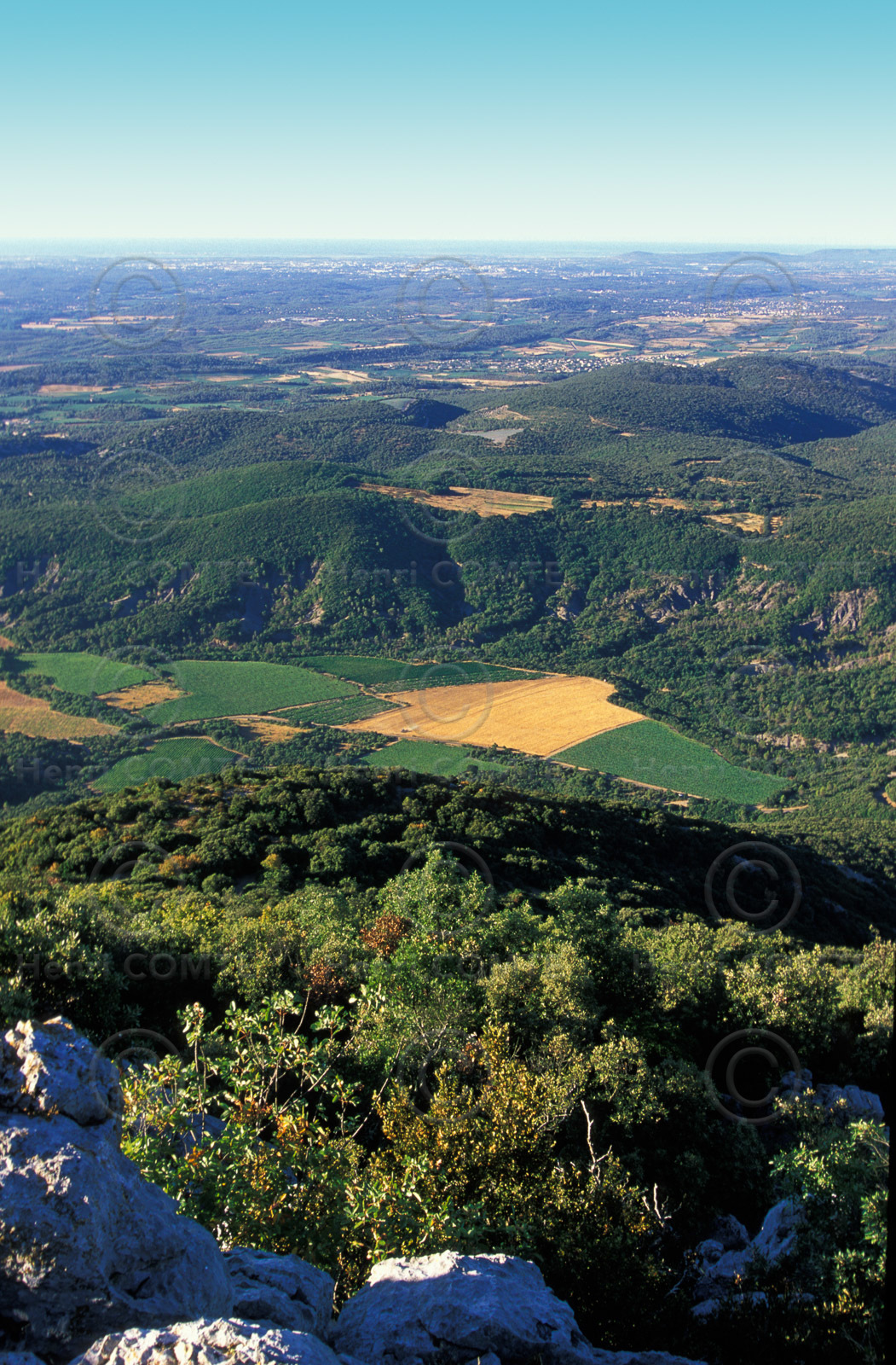 Pic Saint Loup