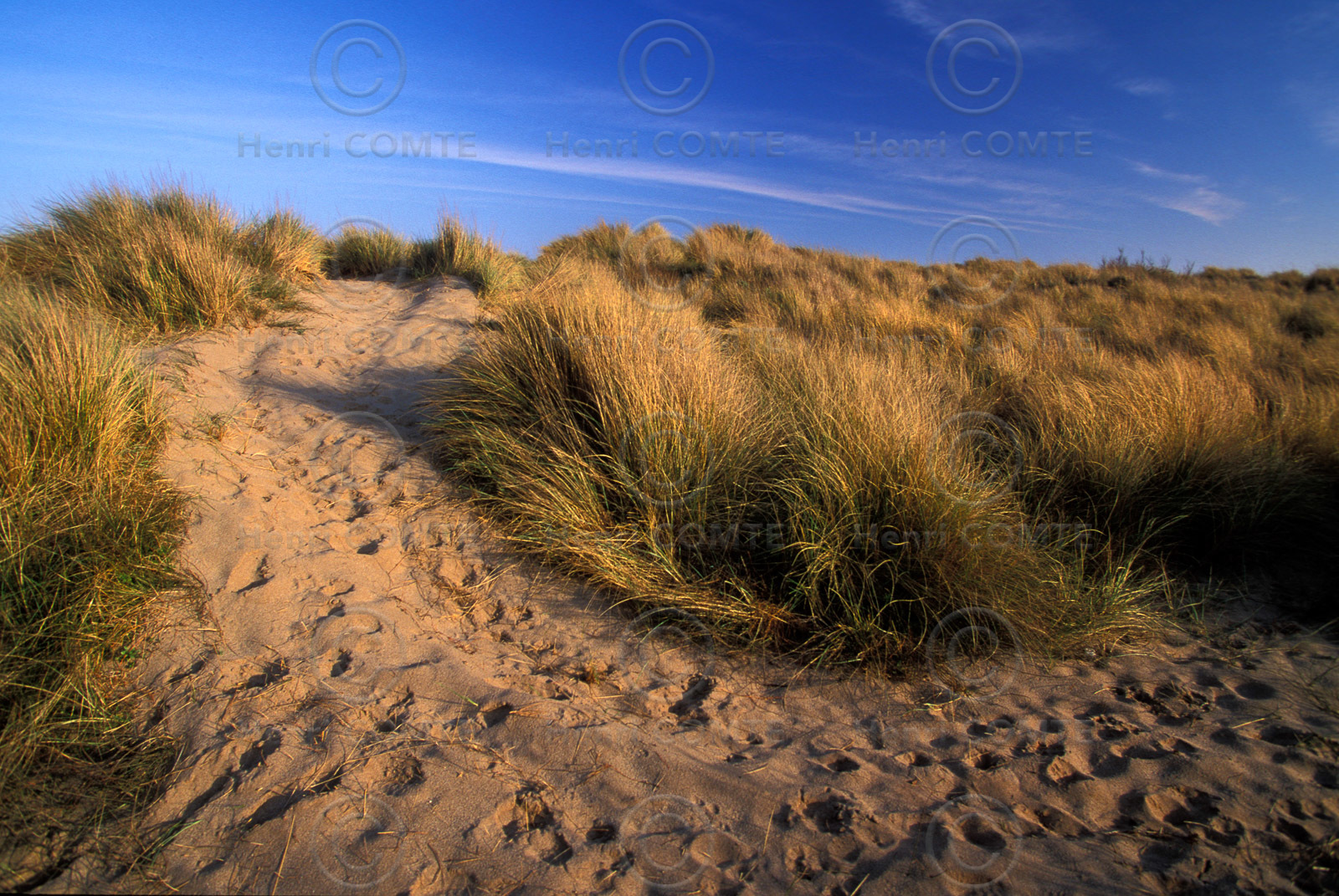 Dunes