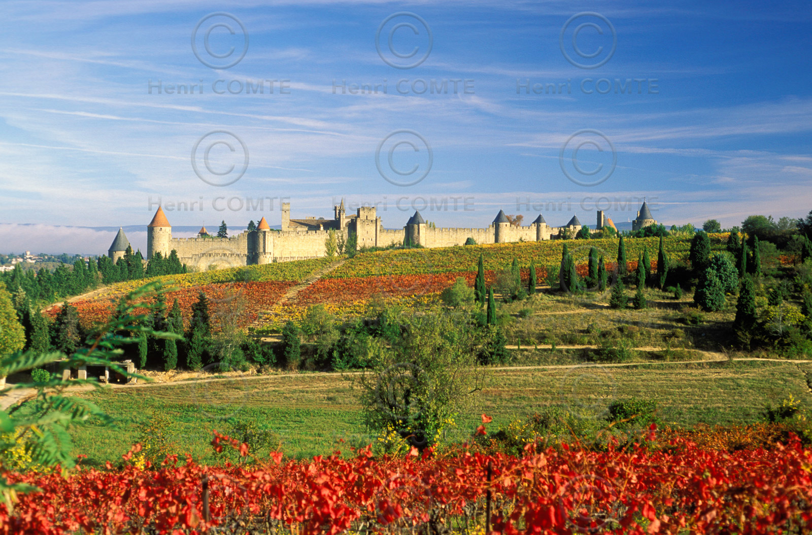 Vignoble et Carcassonne