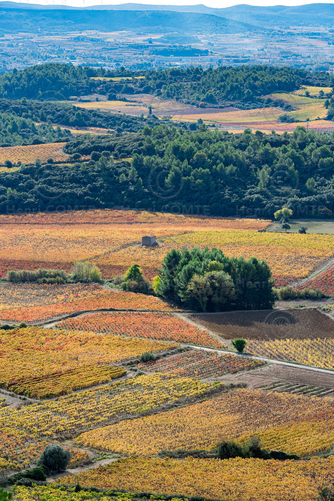 Vignoble Montpeyroux