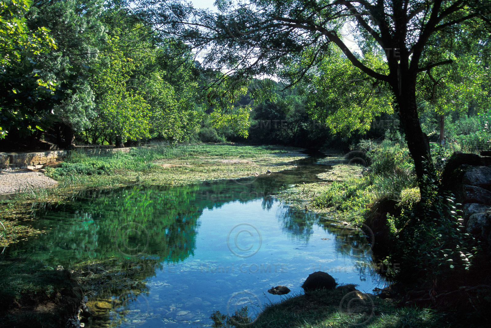 Vallée de la Buèges