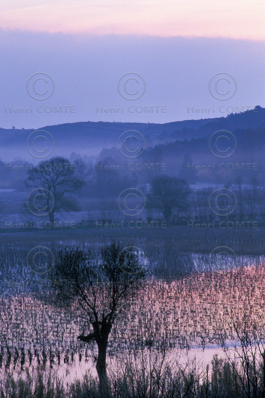 Plaine de l'Hérault